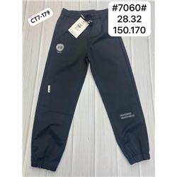 штаны 2054048-1