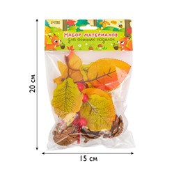Осенние листья и шишки, декор для творчества «Осень»