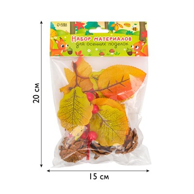 Осенние листья и шишки, декор для творчества «Осень»