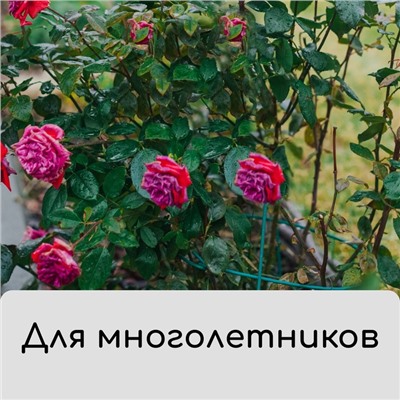 Чехол для растений, прямоугольный на молнии, 160 × 120 см, спанбонд с УФ-стабилизатором, плотность 60 г/м², цвет МИКС