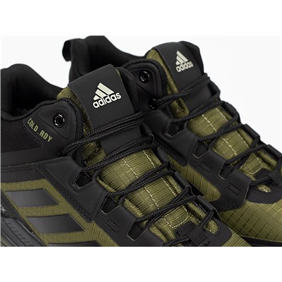 Зимние Кроссовки Adidas Terrex Trailmaker Mid