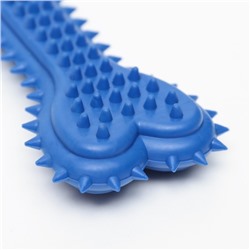 Игрушка жевательная литая «Кость для массажа» большая, 15×6×2.5 см, синяя