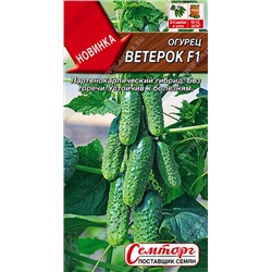 0672A Огурец Ветерок F1 10 шт