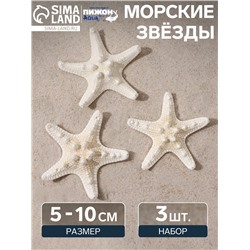 Набор из 3 морских звезд, размер каждой 5-10 см, белые