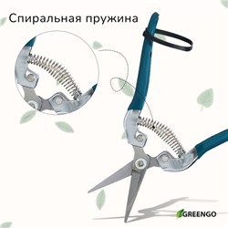 Ножницы садовые, 7" (18 см), с металлическими ручками, обрезиненная ручка, зелёные Greengo