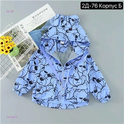 ветровка 1983989-4