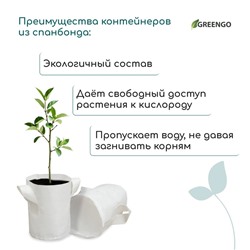 Пакет для рассады, 4 л, 18×21 см, спанбонд, плотность 130 г/м², с ручками, Greengo