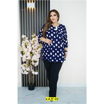 Блузка 2056100-1