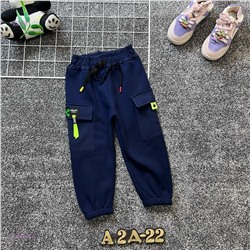 Штаны 1981368-3