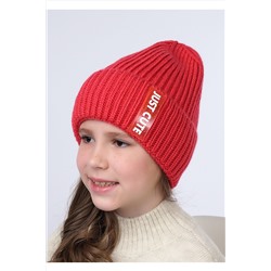 Шапка CLEVER, 799307