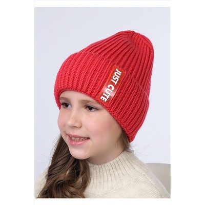 Шапка CLEVER, 799307