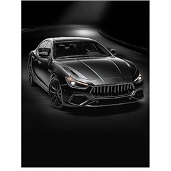 Дневник 1-11 класс на скобе "ЧЁРНЫЙ АВТОМОБИЛЬ - 13" Д40-9515 Проф-Пресс