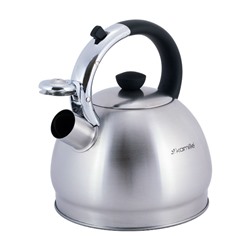 Чайник #23062674