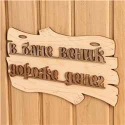 Табличка для бани и сауны «В бане веник дороже денег», 30×17 см, дерево, «Добропаровъ»