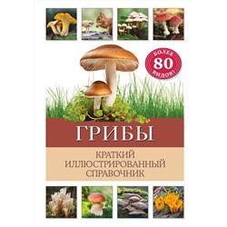Эксмо Бэрбель Офтринг "Грибы. Краткий иллюстрированный справочник"