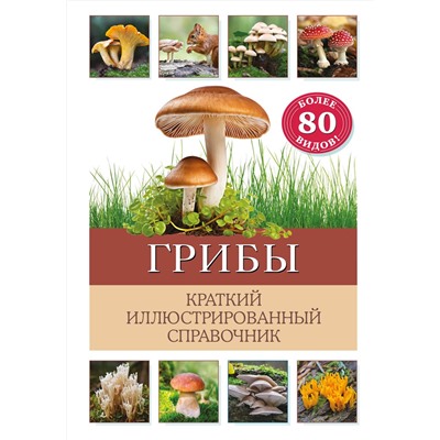 Эксмо Бэрбель Офтринг "Грибы. Краткий иллюстрированный справочник"