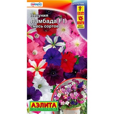 Петуния Ламбада F1 МНОГОЦВЕТКОВАЯ