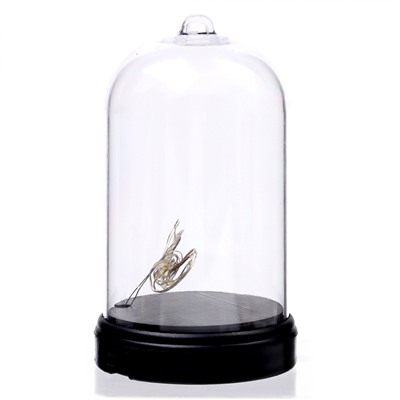 УЦЕНКА Школа талантов Набор для творчества «Новогодний ночник» Змея деревянн.