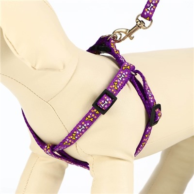 Шлейка с поводком «Звёздные косточки», 23-35 см, ширина 1 см, поводок 120 см, фиолетовая