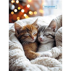 Ежедневник недатированный А6 96 стр. "Спящие котята" С1365-91 АппликА