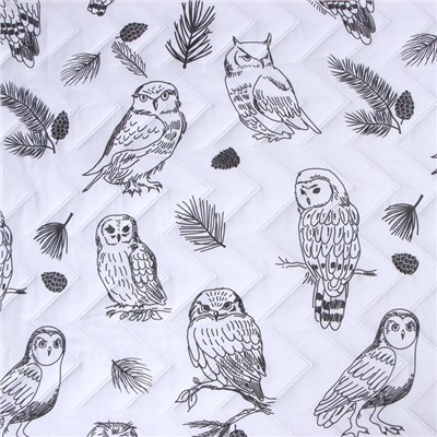 Покрывало LoveLife евро Owls 200×210±5 см, микрофайбер, 100% п/э