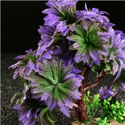 Растение для аквариума и террариума, 11×21 см