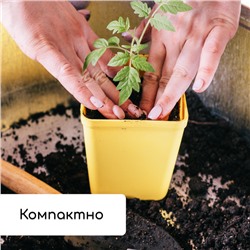 Набор для рассады: стаканы по 200 мл (18 шт.), поддон 36.5×17 см, цвет МИКС, Greengo