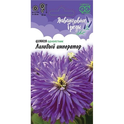 Цинния Лиловый Император ЛГ (Код: 82205)