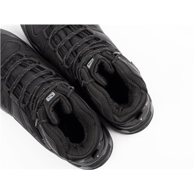 Зимние Ботинки Salomon Quest 4 GTX