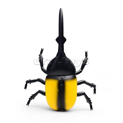 Жук в коробке