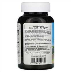 Nature's Plus, Source of Life, Animal Parade, детский жевательный пробиотик от зубной феи с пробиотиками M18, натуральный вкус ванили, 90 таблеток в форме животных
