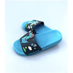 Шлёпанцы для мальчика SL228