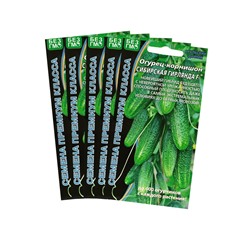 Семена Огурец "Сибирская Гирлянда" F1 скороспелый, партенокарпический, набор 5 шт