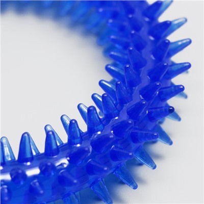 Игрушка для собак «Кольцо с шипами», 12.5 см, прозрачная, синяя