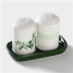 Набор для специй Доляна «Эвкалипт», солонка, перечница 130 мл, доломит, белый, зелёный