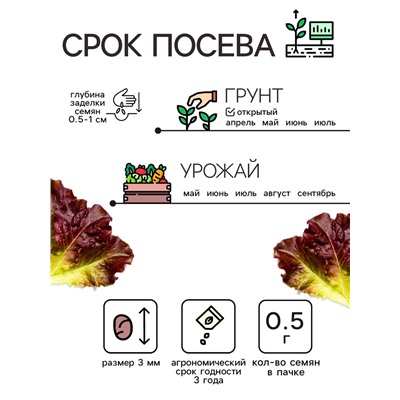 Семена Салат кочанный "Всесезонка", 0,5 г