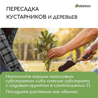 Субстрат кокосовый, универсальный, для террариумов и растений, в брикете, 65 л, 30% чипсы и 70% торф, Greengo