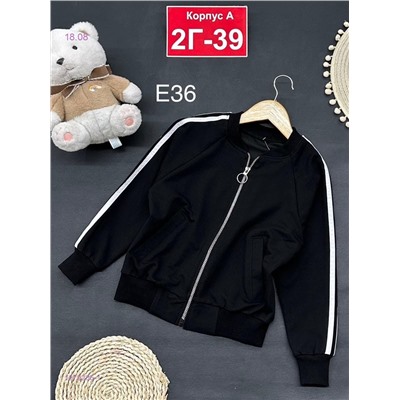 кофта 1979206-1