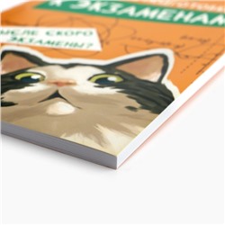 Планер для подготовки к экзаменам, А5 60 л. Мягкая обложка «Кот»
