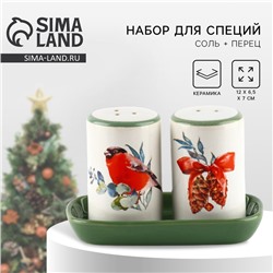 Солонка и перечница «Снегирь!», 12×6.5×7 см, ручная работа
