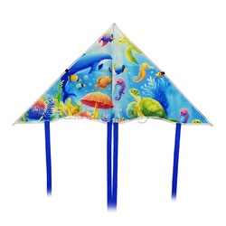 Змей воздушный "Разноцветный веер"