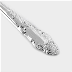 Ложки столовые из нержавеющей стали «Русиано», 19 см, 12 шт.