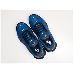 Кроссовки Nike Air Max Plus TN