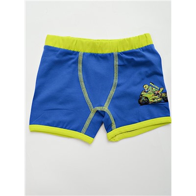 338499 (Трусы для мальчика боксеры, Baykar )