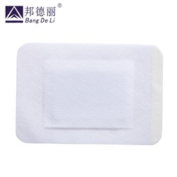 Пластырь ортопедический ZB Pain Relief Orthopedic Plaster
