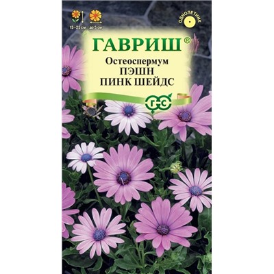 Остеоспермум Пэшн пинк шейдс (Код: 93230)