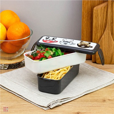 Ланч-бокс 2 секции (0, 5л+0, 5л), 19х8х9, 5см, с декором, пластик