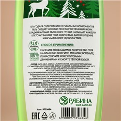 Гель для душа, 250 мл, аромат яблочный пунш, URAL LAB