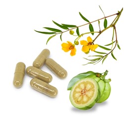 Фито-капсулы для похудения Be-fit с Сенной и Гарцинией Камбоджийской Thanyaporn, 60 шт. Таиланд