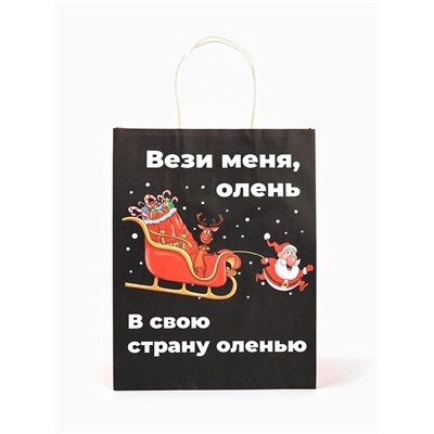 Пакет бумажный подарочный новогодний крафт, «Вези меня», 27×21×11 см